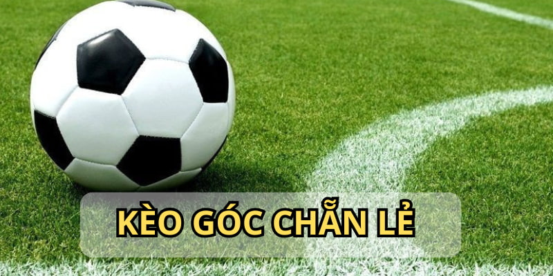 Bạn bắt hình thức chẵn lẻ sẽ có cơ hội thắng đến 50%