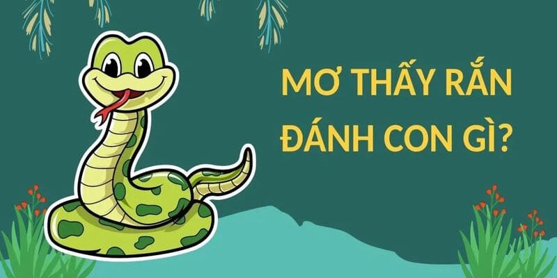 Mơ thấy rắn thường mang đến ý nghĩa may mắn cho bạn